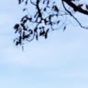 Meet your Posher, Vincent